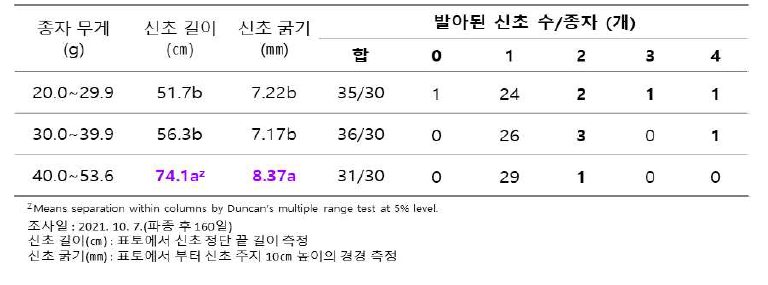 종자크기에 따른 신초 생육 특성