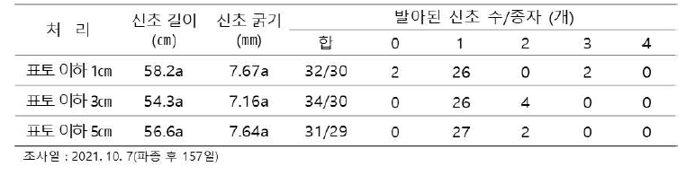 파종 깊이에 따른 신초 생육 특성