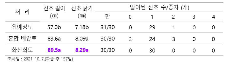 파종 용토에 따른 신초 생육 특성