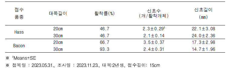 대목 길이에 따른 활착률 및 신초 생육