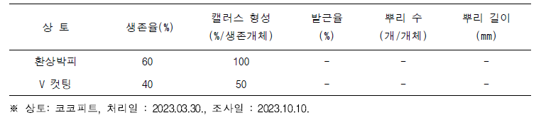 처리 방법에 따른 생육 특성