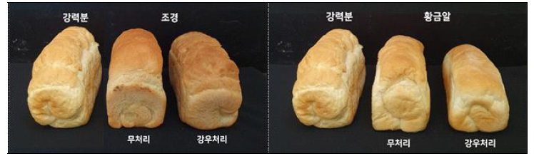 강우처리 시료별 식빵 사진(좌 : 조경, 우 : 황금알)