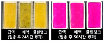 Agar 배지(TTC/ROSE Dipslide) 미생물 밀도 분석 결과