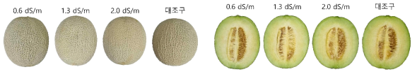 배액 재사용 비율에 따른 처리별 네트 발현(좌) 및 과육 상태(우)