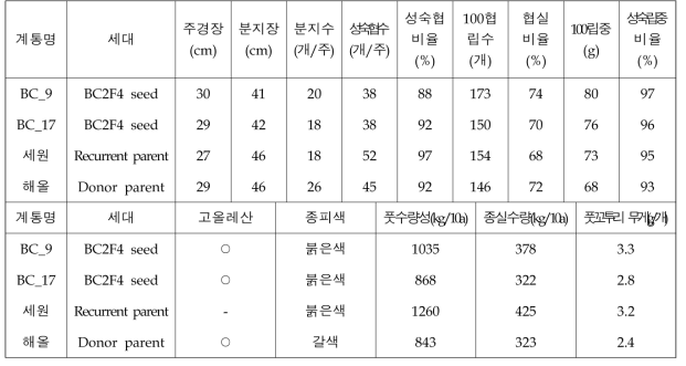 세원/해올 여교배 유망계통의 농업형질 및 종자 특성