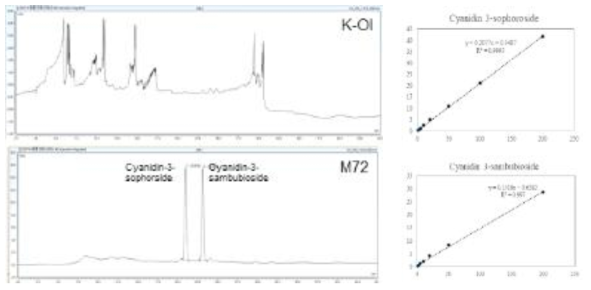 케이올×밀양 72호 RIL 집단 모부본의 안토시아닌 HPLC 크로마토그램