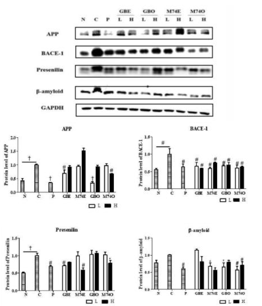 고리그난 참깨 ‘밀양 74호’의 추출물 및 참기름 투여에 의한 Amyloid-β 축적 억제 효과