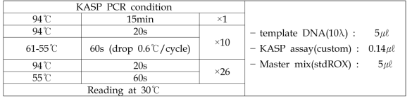 KASP 분석조건