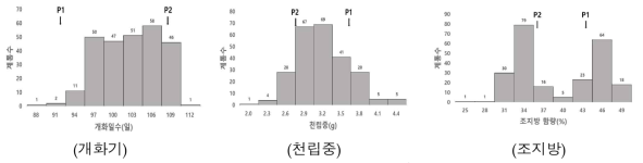 표현형 조사 결과