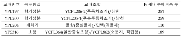 신규 유전체 RIL 4조합의 F7 세대 계통 수확