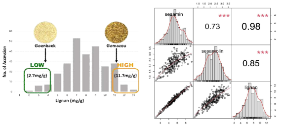 세사민, 세사몰린, 리그난 함량 분포 및 상관분석 결과
