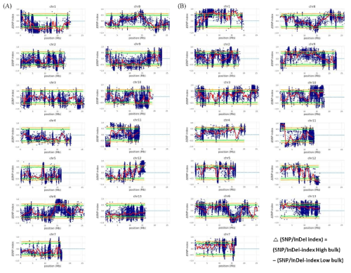 13개 염색체 전반에 나타낸 SNP/InDel-index plot