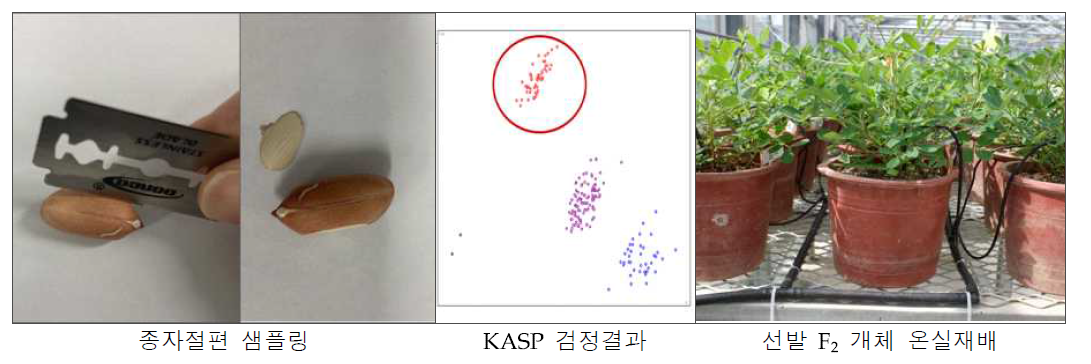 고올레산 마커 분석 과정