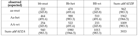 A, B genome의 각 allele 별 선발개체 수