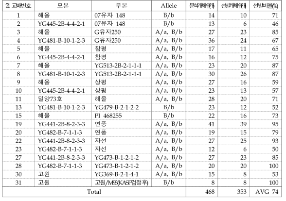 분석 교배립(F1)목록 및 선발비율