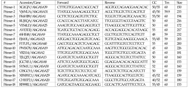 ahGASA gene 발현분석 프라이머 서열