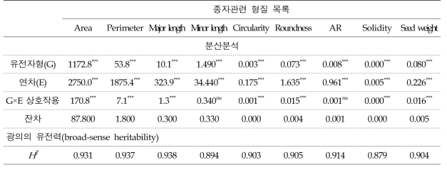 종자 크기, 모양관련 표현형 분산분석(2021-2022)