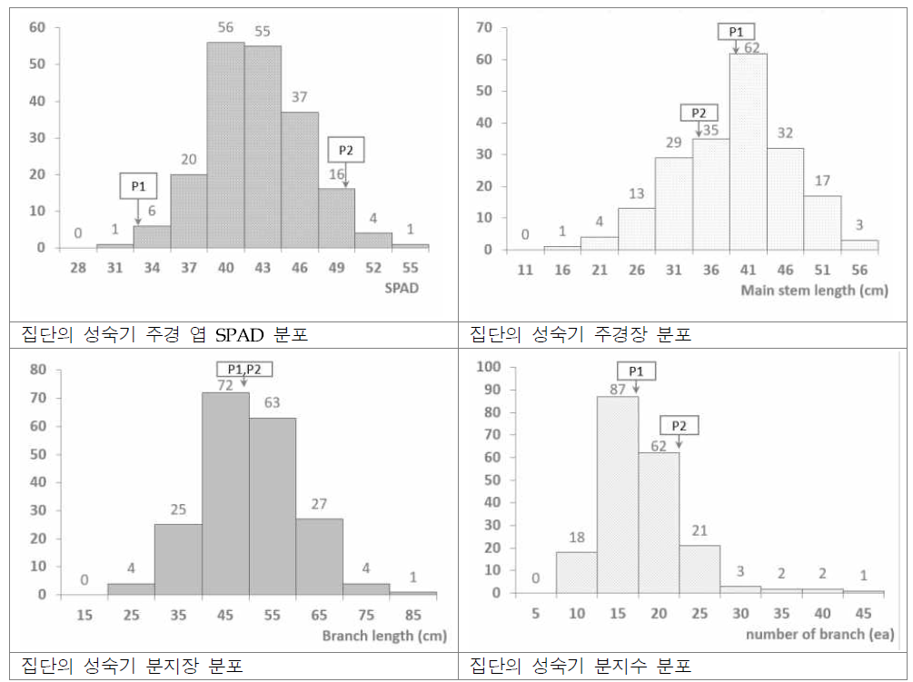 땅콩 성숙기 생육조사 결과의 집단 내 분포