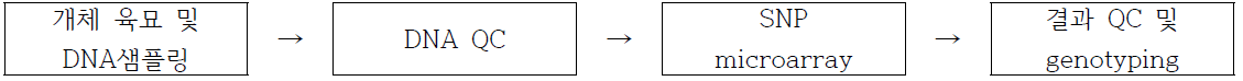 RIL 집단 유전자형 분석과정