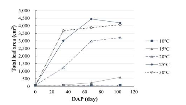 기온에 따른 고추 엽면적 증가 비교(2021)