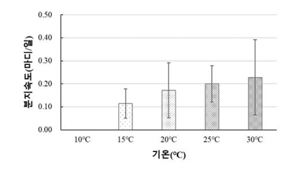 기온에 따른 고추의 분지속도 비교(2022)