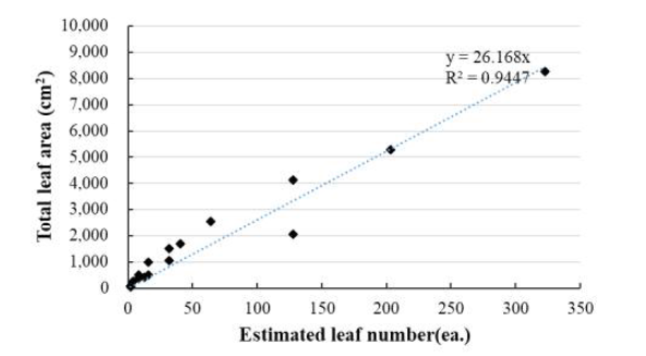 분지속도에 따른 예상엽수와 전체엽면적 간 관계(2023)
