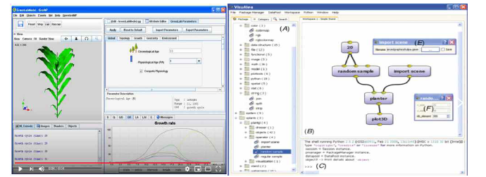 플랫폼의 활용(왼쪽: Grogra (GroIMP), 오른쪽: Openalea Tutorial (OpenAlea)