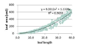 엽 길이 이용 개별 잎의 엽면적 추정