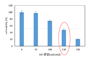 UV 광량에 따른 세포독성 평가 (망막상피세포 ARPE-19)