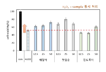 H2O2 산화스트레스에 의한 세포보호능 (망막상피세포 ARPE-19)