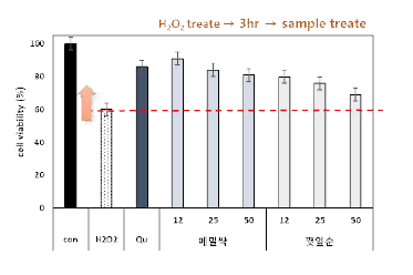 H2O2 산화스트레스에 의한 세포보호능 (망막상피세포 ARPE-19)