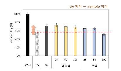 자외선 처리에 의한 망막세포 보호능 (ARPE-19 cell)