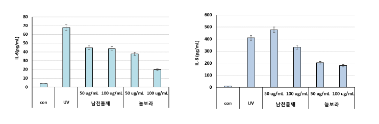 자외선 처리에 의한 망막세포 항염증 활성 (ARPE-19 cell) 남천들깨 vs. 늘보라