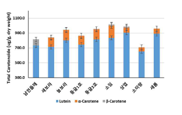 잎들깨 품종별 카로티노이드 함량 (밀양 포장 재배)