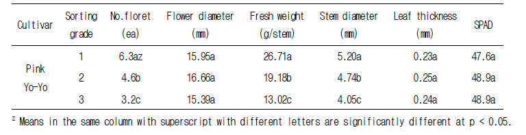 장미 품종별 선별등급에 따른 초기 품질 특성 - 핑크요요