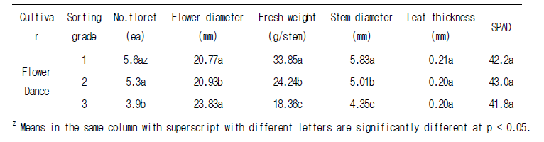 장미 품종별 선별등급에 따른 초기 품질 특성 – 플라워 댄스