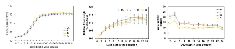 수출 절화 국화 ‘백마’의 절화 보존기간 중 화폭 및 수분생리 변화 (좌: 화폭, 중: 생체중 우: 수분흡수량)