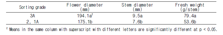 수출 절화 수국 선별등급에 따른 초기 품질 특성