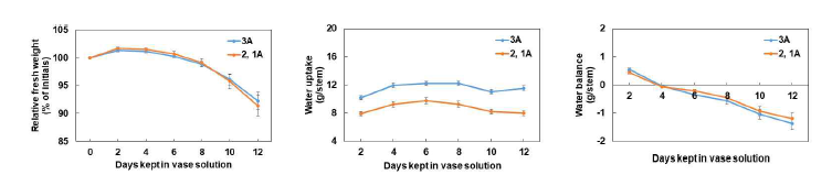 수출 절화 수국의 절화 보존기간 중 수분 생리 변화 (좌: 생체중, 중: 수분흡수량, 우: 수분균형)