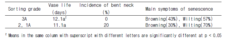 수출 절화 수국 선별등급에 따른 절화수명, 꽃목굽음 발생률 및 주요 노화 증상