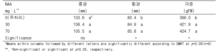 NAA 처리 농도별 ‘어윈(Irwin)’망고 과실의 과중, 종경 및 횡경