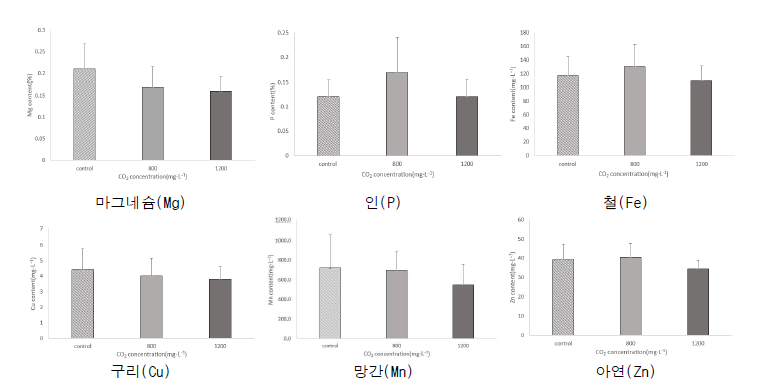 과실비대기 CO2 처리에 따른 잎 무기성분 함량 비교