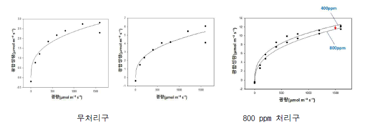 영양생장기 CO2 시비에 따른 CO2 농도별 광합성량 변화