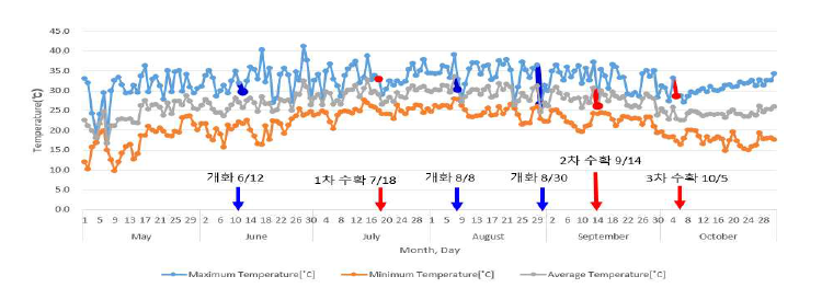 시험 기간 동안의 시험포장 온도변화