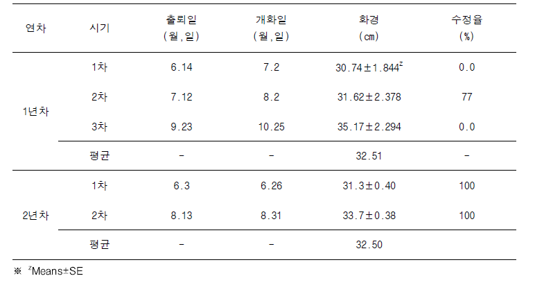 연차별 개화 특성