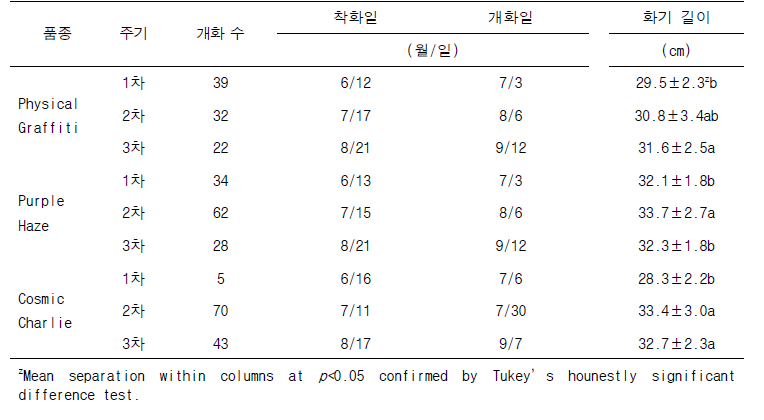 용과 3품종 개화특성조사(1년차)