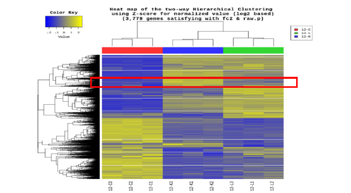 실험군에 따른 유전자들간 two-way Hierarchical Clustering Heat map