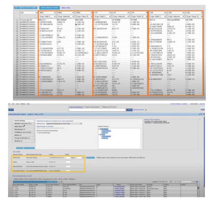 Observation dataset upload 및 Dataset cut-off 조건 설정 예시