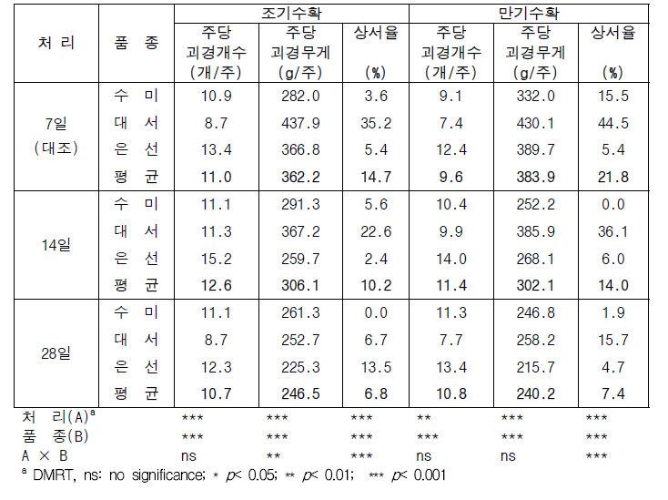 관수간격 처리에 따른 수확시기별 시험품종의 수량특성(2022년)