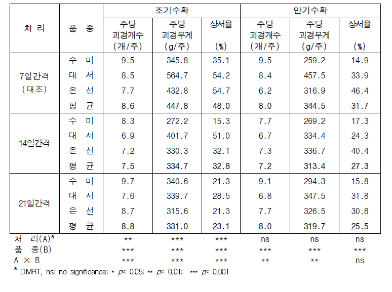 관수간격 처리에 따른 수확시기별 시험품종의 수량특성(2023년)